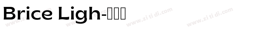Brice Ligh字体转换